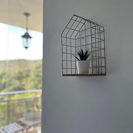 Your Holidays Apartment ปลาตจาดาโร ภายนอก รูปภาพ