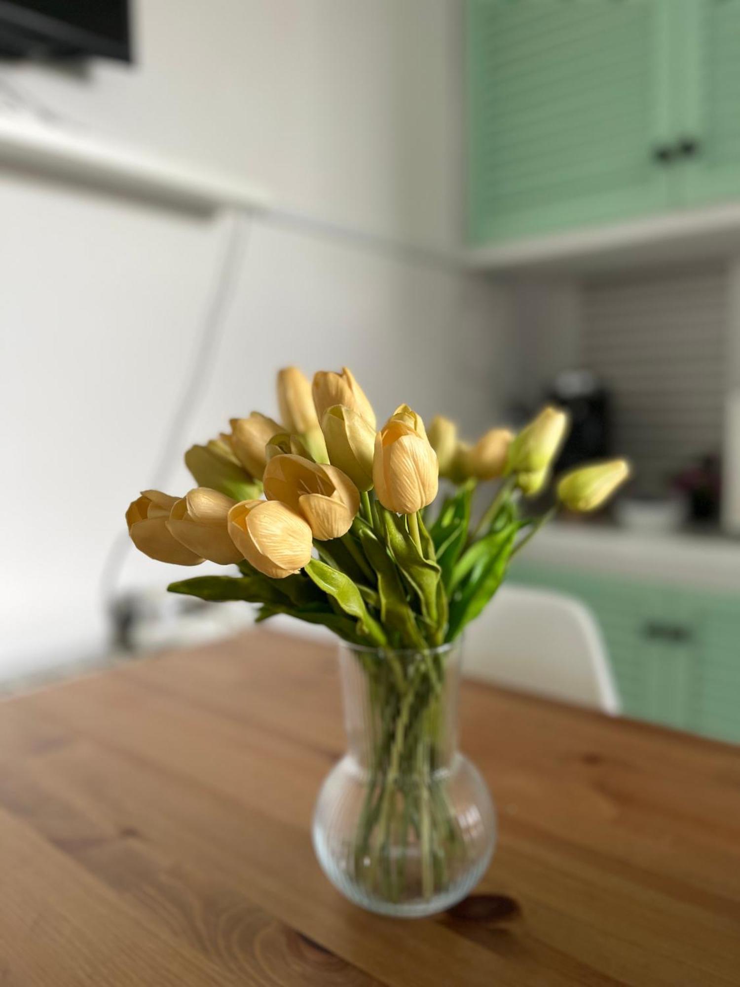 Your Holidays Apartment ปลาตจาดาโร ภายนอก รูปภาพ